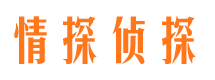 任城市侦探公司